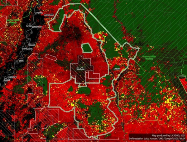 1. 2000-2021 년 툼링 REDD+ 시범사업 구역의 벌목 현황. 굵은 흰색 실선은 REDD+ 시범사업 구역 경계이고, 각 적색 픽셀은 20 년간의 산림 손실 정도를 표시함. 적색의 밝기가 밝을수록 최근에 유실된 산림. 남은 산림은 산림끼리의 연결이 끊겨 파편화되면서 생태적으로 취약한, 고립된 소규모 ‘섬’으로 변해가는 중. 노란색 픽셀은 'GLAD 산림 유실 경보'로 임관층 손실. 즉 기존 산림이 새롭게 유실되고 있는 구역을 보여주는데, 산림 유실 상황이 더욱 심각해졌음을 보여줌.