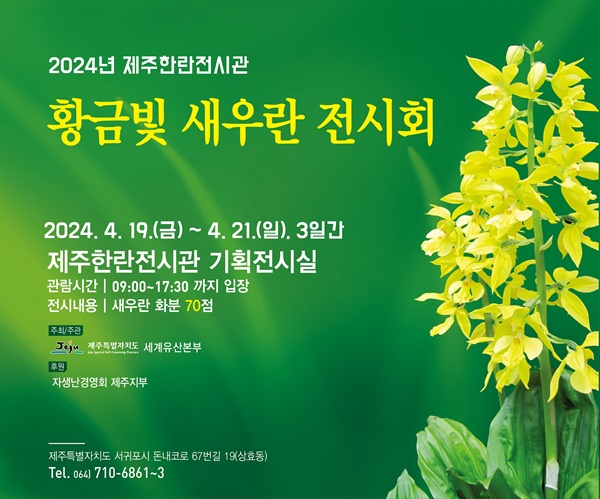 ‘금빛 꽃의 환희 만끽’ 제주한란전시관 새우란전 개최
